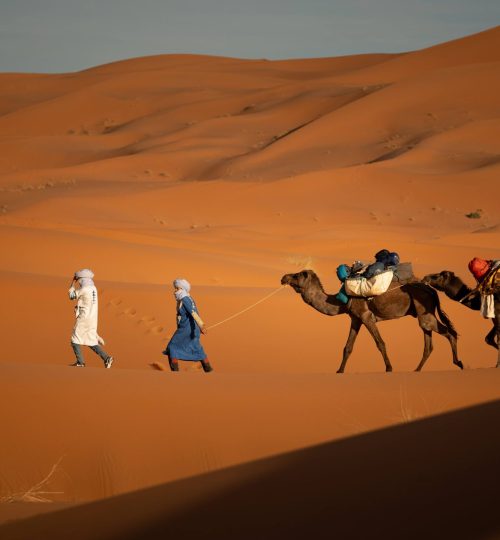 ruta con camellos en el desierto de erg chebbi, en merzouga, marruecos